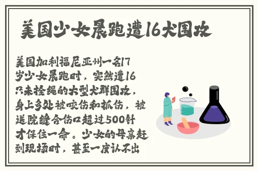 麻花传剧原创mv在线看赘婿
